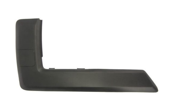 Decorative/protection panel, bumper