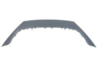 Decorative/protection panel, bumper