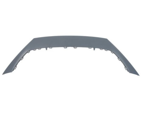 Decorative/protection panel, bumper