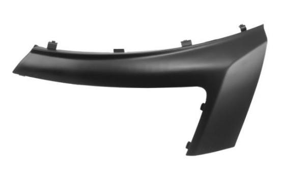 Decorative/protection panel, bumper