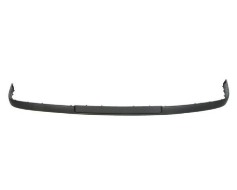 Decorative/protection panel, bumper