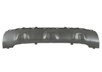 Decorative/protection panel, bumper