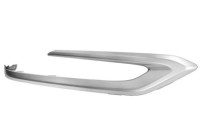 Decorative/protection panel, bumper