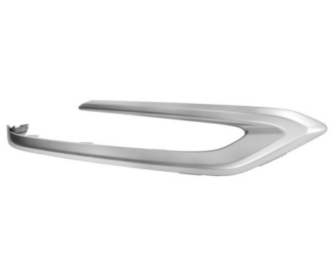 Decorative/protection panel, bumper