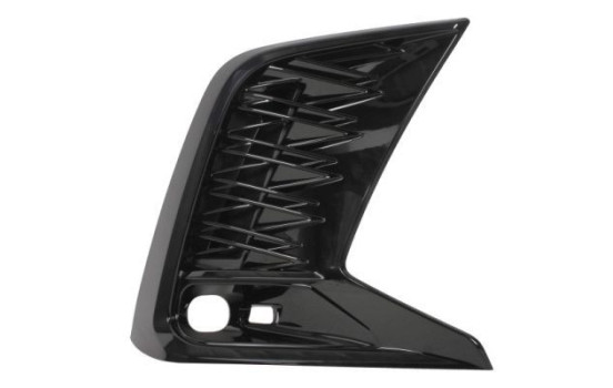 Decorative/protection panel, bumper