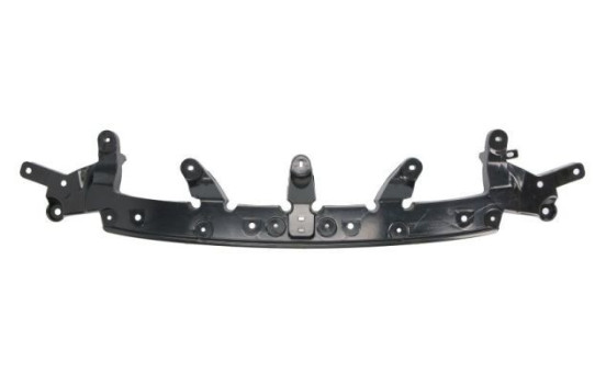 Decorative/protection panel, bumper