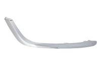 Decorative/protection panel, bumper