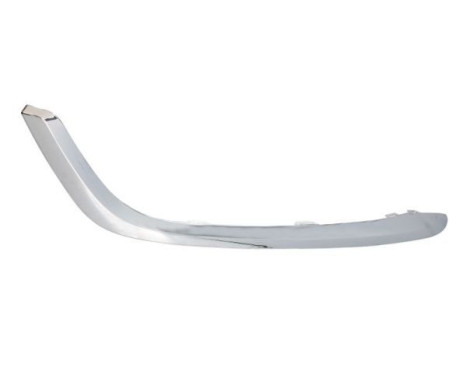 Decorative/protection panel, bumper