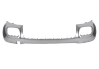Decorative/protection panel, bumper
