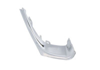 Decorative/protection panel, bumper