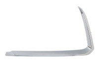 Decorative/protection panel, bumper