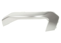 Decorative/protection panel, bumper