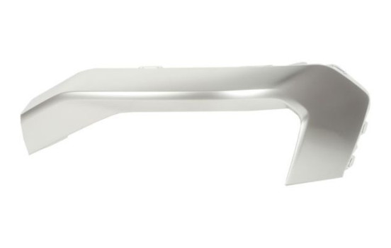 Decorative/protection panel, bumper