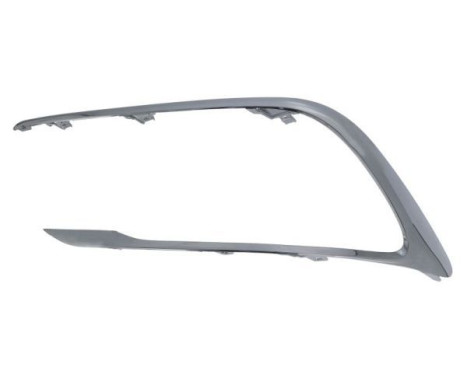 Decorative/protection panel, bumper