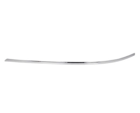Decorative/protection panel, bumper