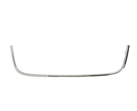 Decorative/protection panel, bumper