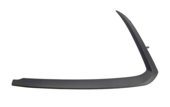 Decorative/protection panel, bumper