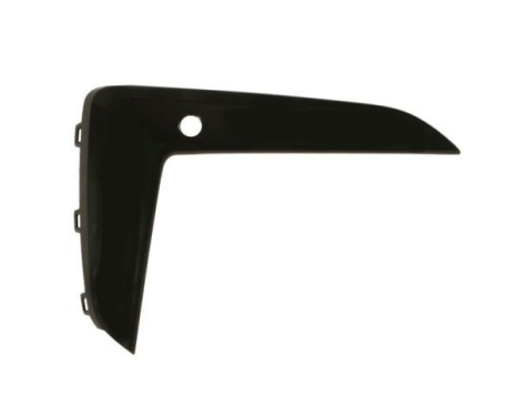 Decorative/protection panel, bumper