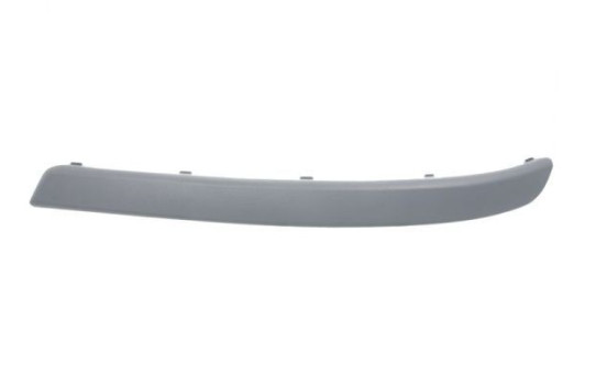 Decorative/protection panel, bumper