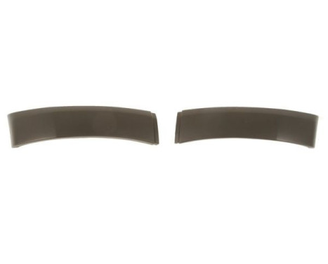 Decorative/protection panel, bumper