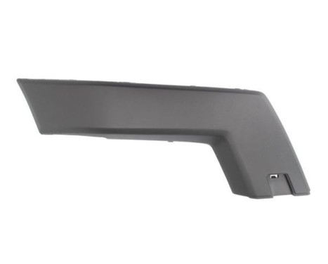 Decorative/protection panel, bumper