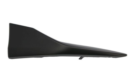 Decorative/protection panel, bumper