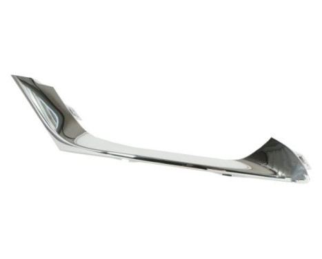 Decorative/protection panel, bumper