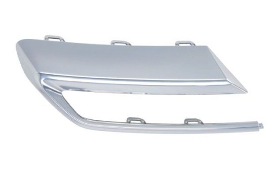 Decorative/protection panel, bumper