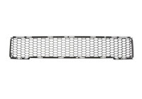 Decorative/protection panel, bumper