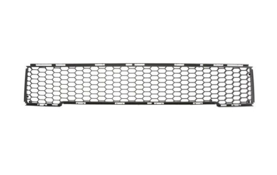 Decorative/protection panel, bumper