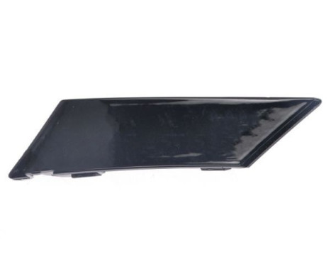 Decorative/protection panel, bumper