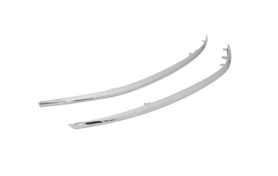 Decorative/protection panel, bumper