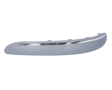 Decorative/protection panel, bumper