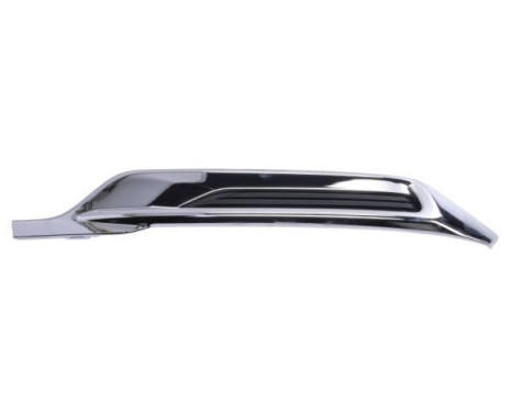 Decorative/protection panel, bumper