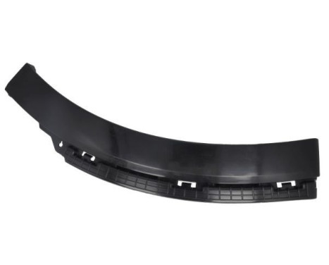 Decorative/protection panel, bumper