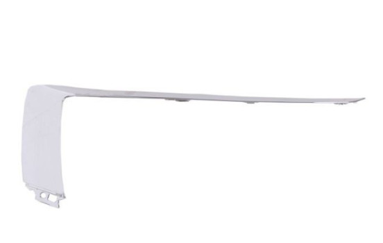 Decorative/protection panel, bumper
