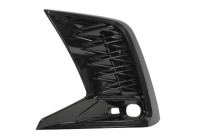 Decorative/protection panel, bumper