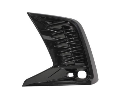 Decorative/protection panel, bumper