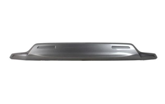 Decorative/protection panel, bumper