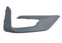 Decorative/protection panel, bumper