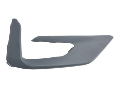 Decorative/protection panel, bumper