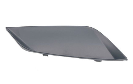 Decorative/protection panel, bumper