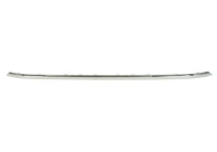 Decorative/protection panel, bumper