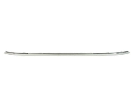 Decorative/protection panel, bumper