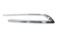 Decorative/protection panel, bumper