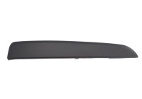Decorative/protection panel, bumper