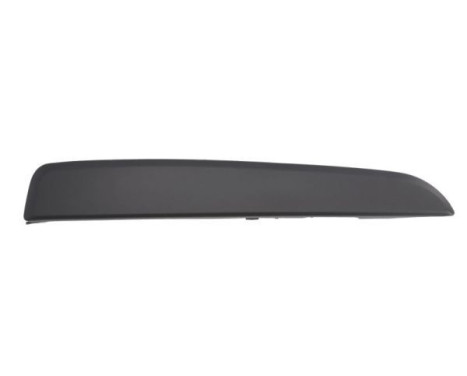Decorative/protection panel, bumper
