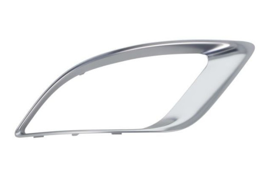 Decorative/protection panel, bumper