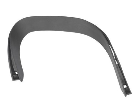 Decorative/protection panel, bumper