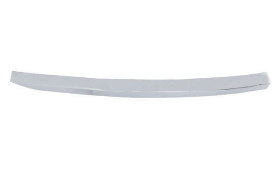 Decorative/protection panel, bumper